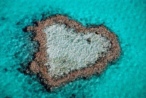 Poinciana 112 - ACT Tourism 21