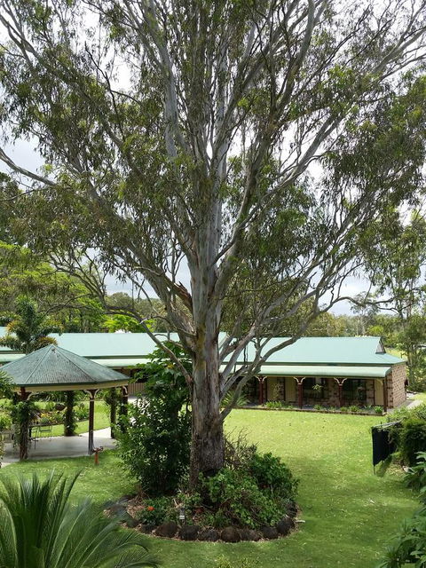 The Bearded Dragon Boutique Hotel - ACT Tourism 32