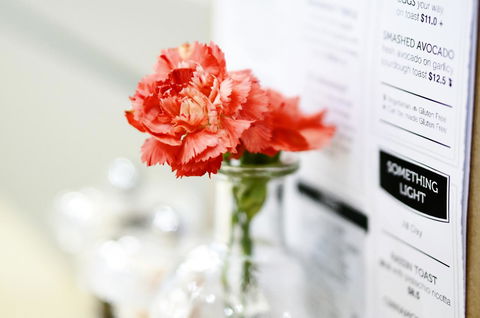 Madison Plaza Townsville - ACT Tourism 20