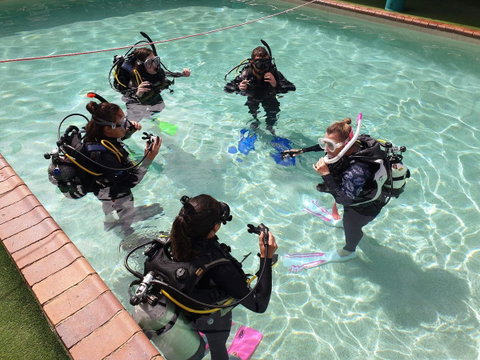 Backpackers In Paradise 18-35 Hostel - ACT Tourism 18