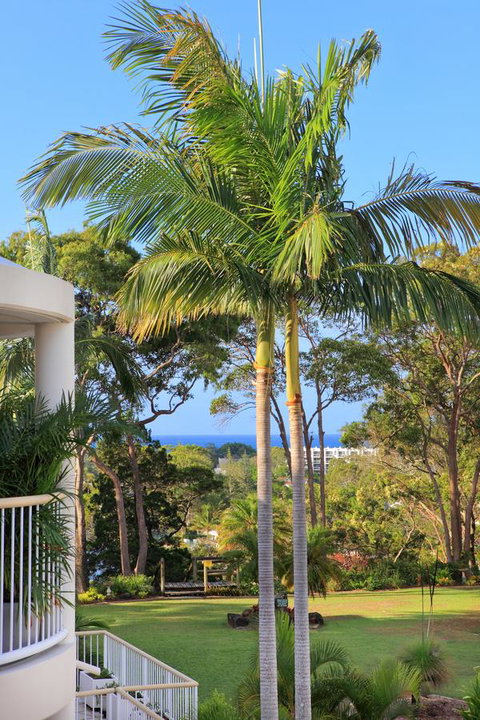 Serenity Apartments Noosa - ACT Tourism 14