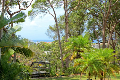Serenity Apartments Noosa - ACT Tourism 1
