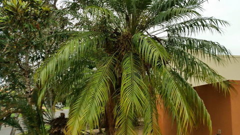 Hepburn Holiday Haven - ACT Tourism 26