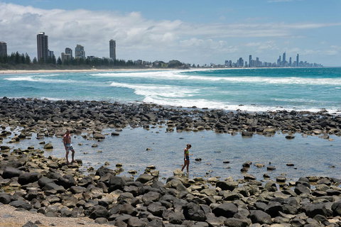 Oceania On Burleigh Beach - ACT Tourism 42