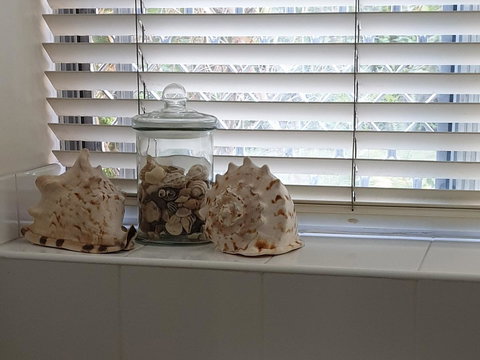 Oceania On Burleigh Beach - ACT Tourism 14