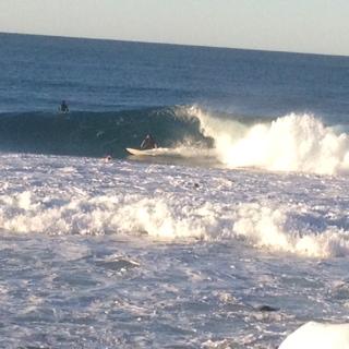 Oceania On Burleigh Beach - ACT Tourism 27