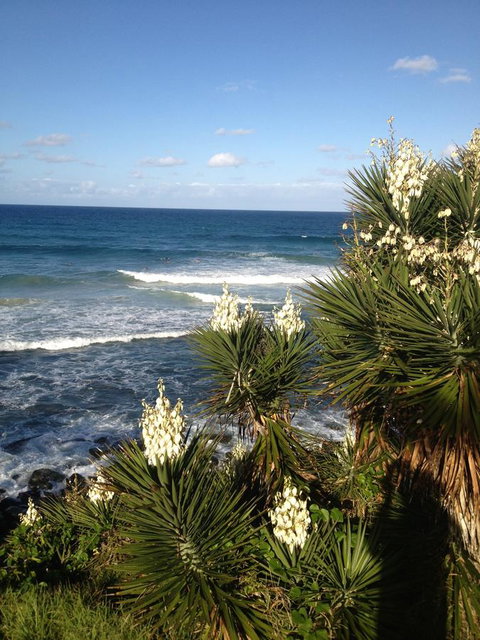 Oceania On Burleigh Beach - ACT Tourism 23