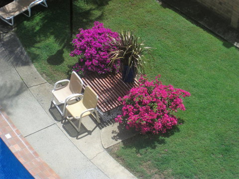 Oceania On Burleigh Beach - ACT Tourism 29