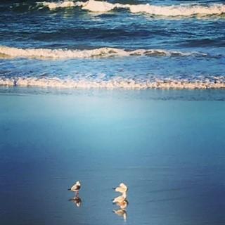 Oceania On Burleigh Beach - ACT Tourism 40