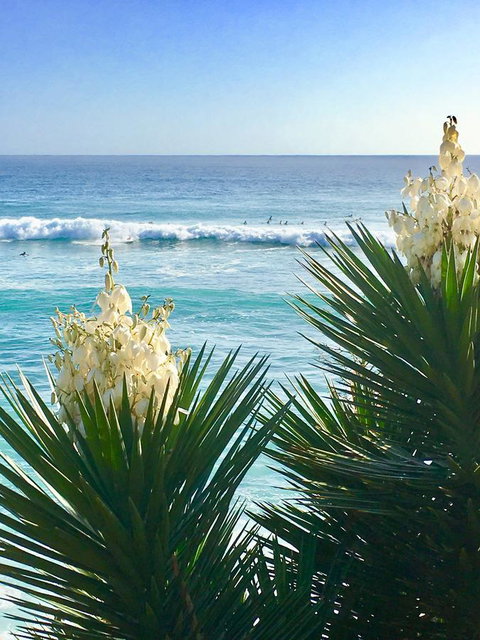 Oceania On Burleigh Beach - ACT Tourism 21