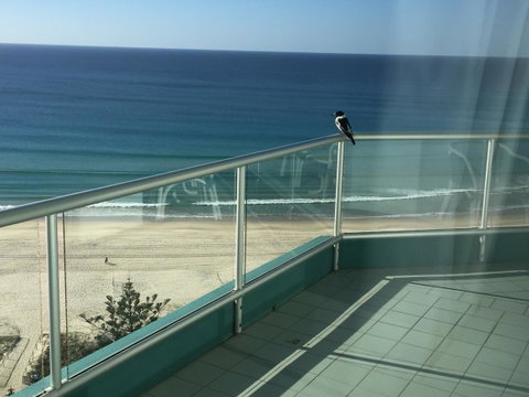 Ocean Plaza Resort - ACT Tourism 28