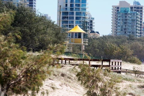 Surfers International Apartments - ACT Tourism 4