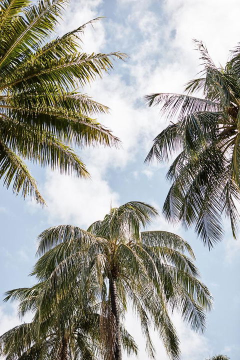 Novotel Cairns Oasis Resort - ACT Tourism 9