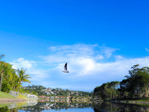 Bay Of Palms - ACT Tourism 18