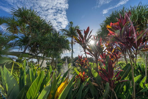 Currumbin Sands On The Beach - ACT Tourism 9
