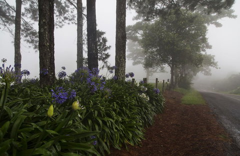 Bower 63 - ACT Tourism 26