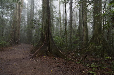 Bower 63 - ACT Tourism 38