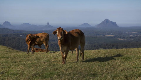 Bower 63 - ACT Tourism 29
