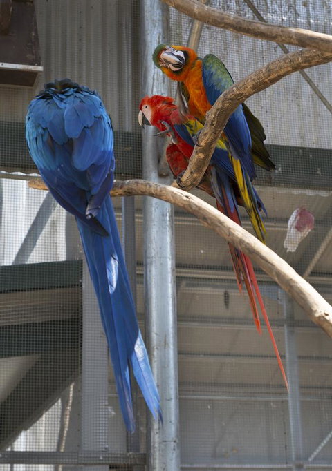 Bower 63 - ACT Tourism 35