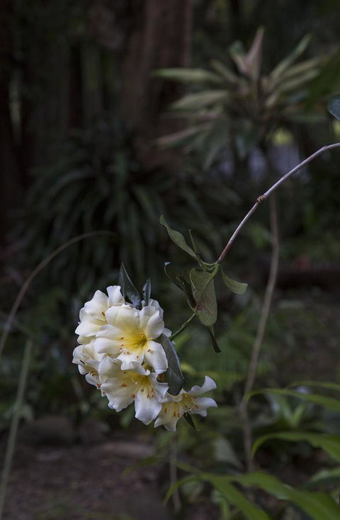 Bower 63 - ACT Tourism 18