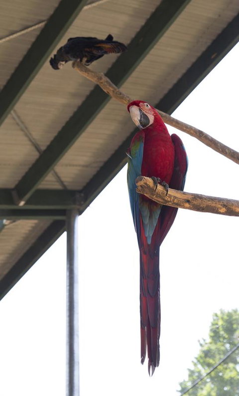 Bower 63 - ACT Tourism 36