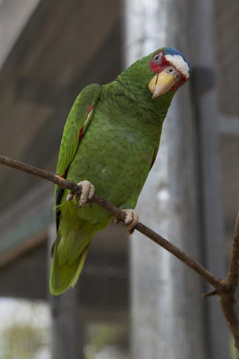 Bower 63 - ACT Tourism 34