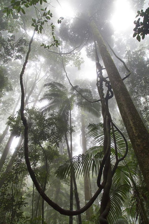 Bower 63 - ACT Tourism 39