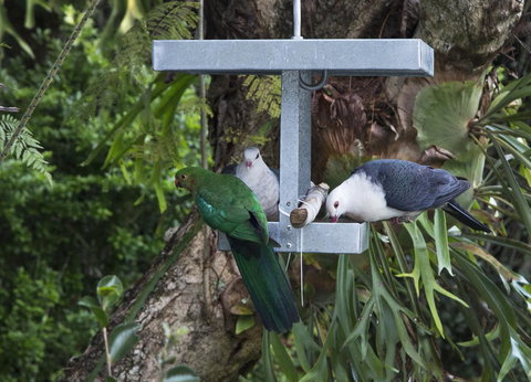 Bower 63 - ACT Tourism 22