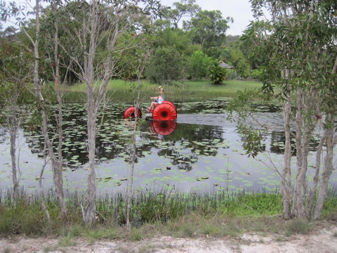 1770 Southern Cross Travellers Retreat - ACT Tourism 16