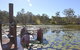 1770 Southern Cross Travellers Retreat - thumb 21