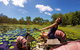 1770 Southern Cross Travellers Retreat - thumb 18