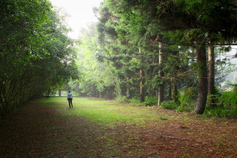Sharlynn By The River - ACT Tourism 22