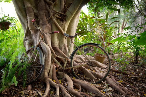 Sharlynn By The River - ACT Tourism 27
