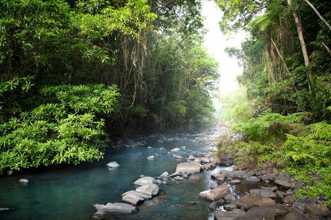 Sharlynn By The River - ACT Tourism 11