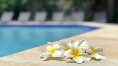 Hi Ho Beach Apartments On Broadbeach - ACT Tourism 2