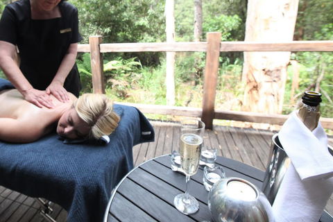 Woodlands Rainforest Retreat - ACT Tourism 3