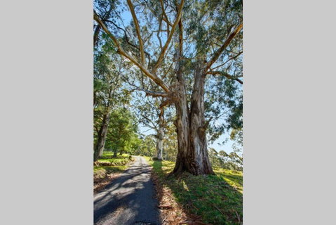 WOOLWAY - ACT Tourism 1