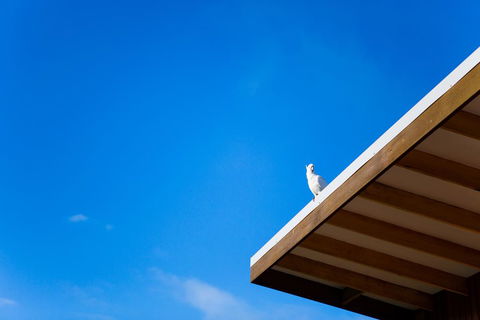 Wye Not Escape - ACT Tourism 0