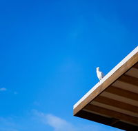 Wye Not Escape - ACT Tourism