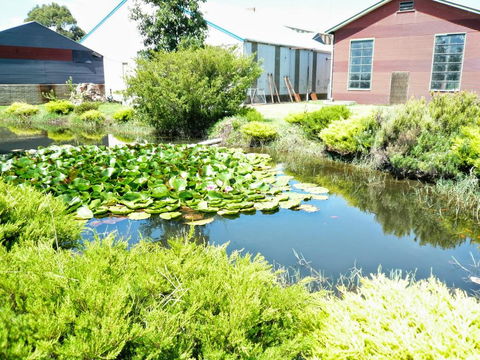 Yarragon Dairy Family Room - ACT Tourism 1