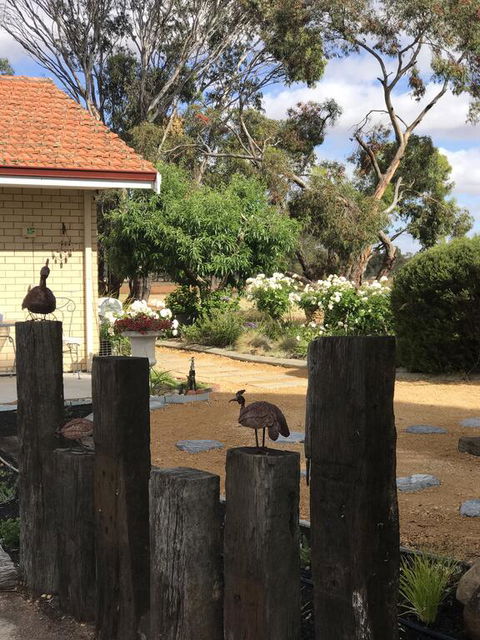 Yellow Gum Bed And Breakfast - ACT Tourism 2