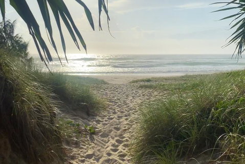 Ziba On Collins - ACT Tourism 3