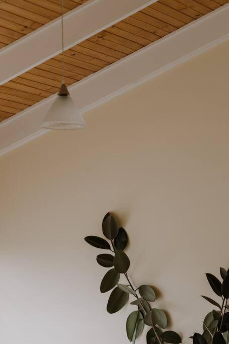 Amarela Haus - Calming Retreat Within Oceans Reach - ACT Tourism 1