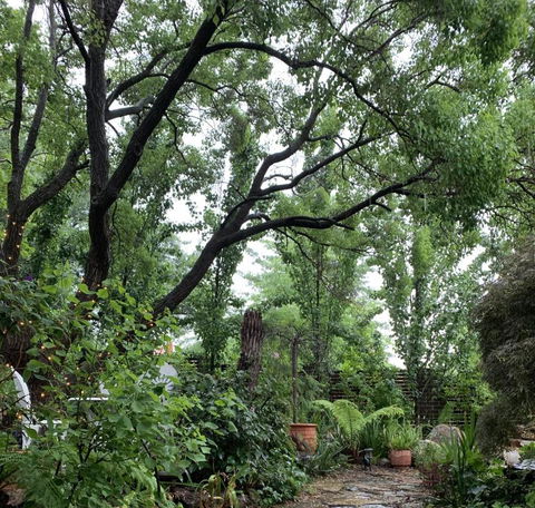 Ananda Cottage - ACT Tourism 0