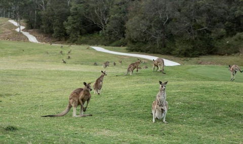 Anglesea River Apartment 22 - ACT Tourism 4