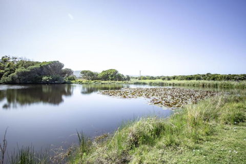 Apollo Bay Cottages- Sabine - ACT Tourism 3
