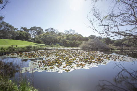Apollo Bay Cottages- Sabine - ACT Tourism 4