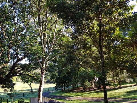 Bee-Haven Cottage - ACT Tourism 7