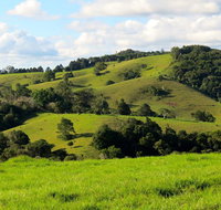 Maleny Springs Farm - ACT Tourism