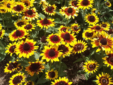 Eastgate On The Range Motel - ACT Tourism 16